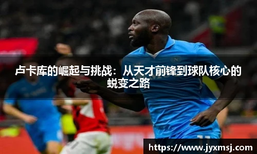 jn体育官网